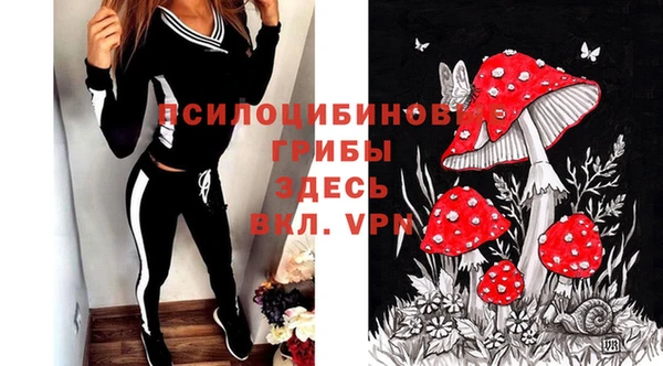 дурь Краснотурьинск