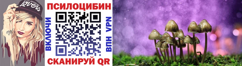 Галлюциногенные грибы мухоморы  как найти   нарко площадка наркотические препараты  Михайловск 